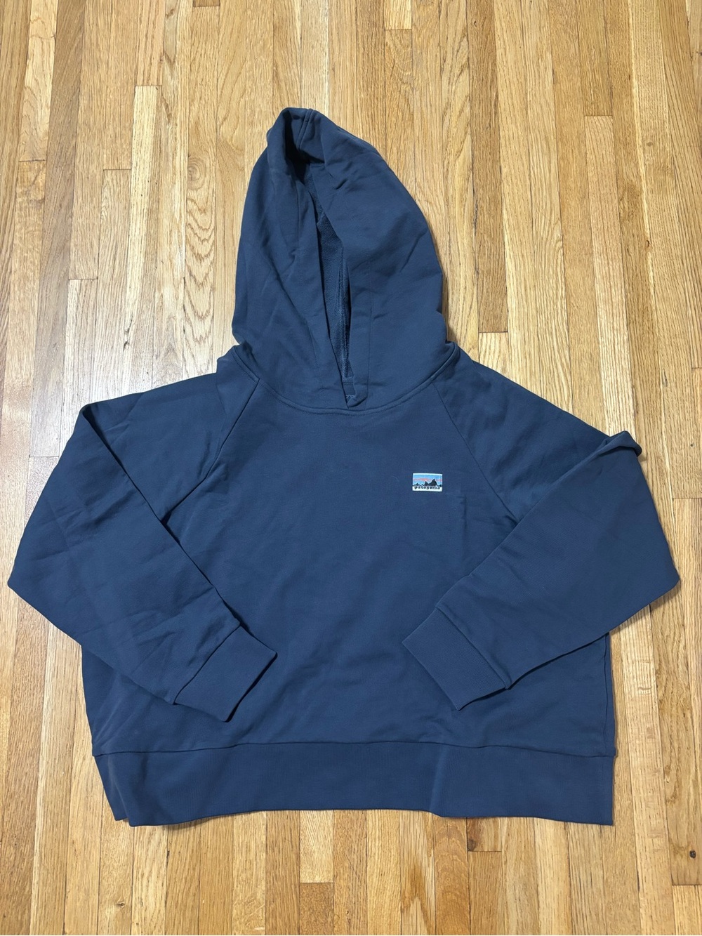 Patagonia ROC Essential Hoody Womens NWT Smoulder Blue Sz Large